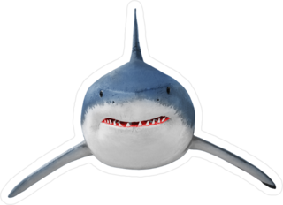 Great White Shark Facing You Sticker