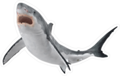 Great White Shark Swimming Up Sticker