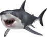 Great White Shark Swimming With Mouth Open Sticker