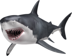 Great White Shark Swimming With Mouth Open Sticker