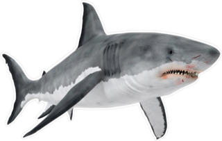 Great White Shark With Bloody Mouth Sticker