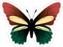 Green and Red Butterfly Sticker