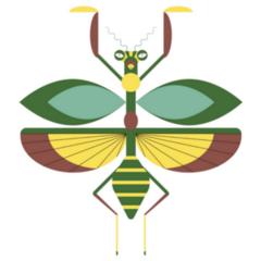 Green And Yellow Praying Mantis Geometric Icon Sticker