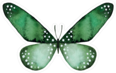 Green & Black with White Spots Watercolor Butterfly Sticker