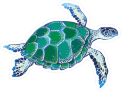 Green & Blue Watercolor Sea Turtle Sticker