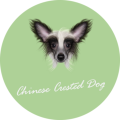  Green Chinese Crested Sticker