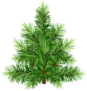 Green Christmas Pine Tree Illustration Sticker