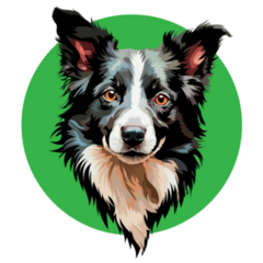 Green Circle Border Collie Sticker