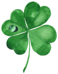 Green Clover Leaf Watercolor Illustration Sticker