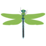Green Dragonfly Sticker