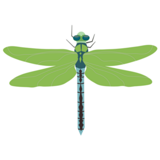 Green Dragonfly Sticker