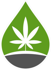 Green Droplet Cannabis Leaf Sticker