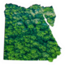 Green Forest Map Of Egypt Sticker