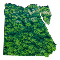 Green Forest Map Of Egypt Sticker
