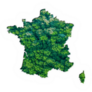 Green Forest Map Of France Sticker