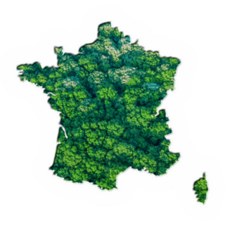 Green Forest Map Of France Sticker