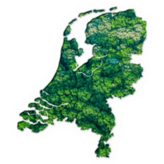 Green Forest Map Of Netherlands Sticker