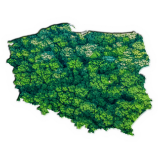 Green Forest Map Of Poland Sticker