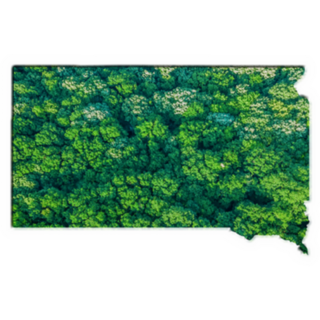 Green Forest Map Of South Dakota Sticker