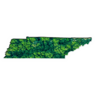 Green Forest Map Of Tennessee Sticker