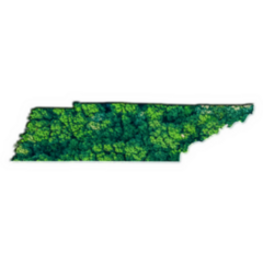 Green Forest Map Of Tennessee Sticker