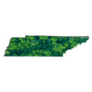 Green Forest Map Of Tennessee Sticker