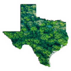 Green Forest Map Of Texas Sticker