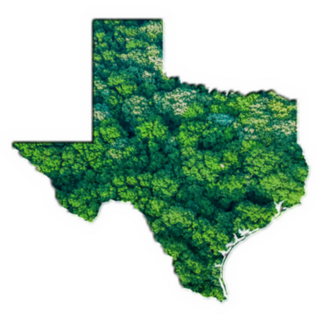 Green Forest Map Of Texas Sticker