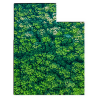 Green Forest Map Of Utah Sticker