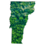 Green Forest Map Of Vermont Sticker