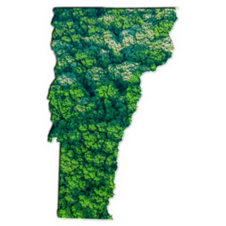 Green Forest Map Of Vermont Sticker