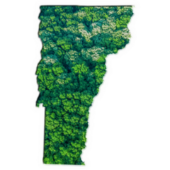 Green Forest Map Of Vermont Sticker