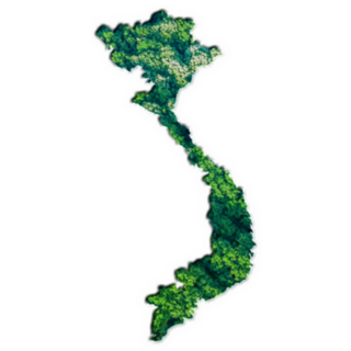 Green Forest Map Of Vietnam Sticker