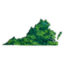 Green Forest Map Of Virginia Sticker
