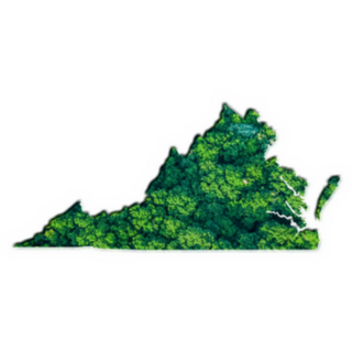 Green Forest Map Of Virginia Sticker