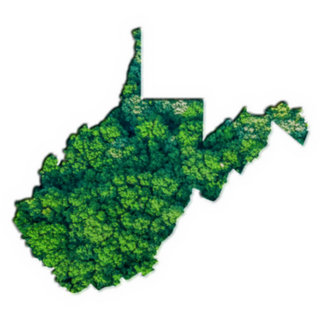 Green Forest Map Of West Virginia Sticker