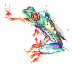 Green Frog Illustration Painted With Watercolor Sticker