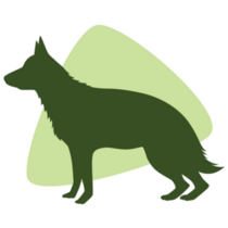 Green German Shepherd Sticker