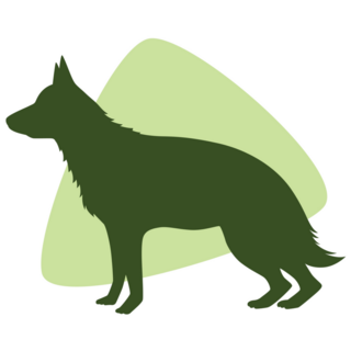 Green German Shepherd Sticker