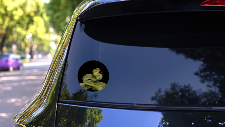 Green Goldy Skin Viper Snake Sticker on a Rear Car Window (New) example