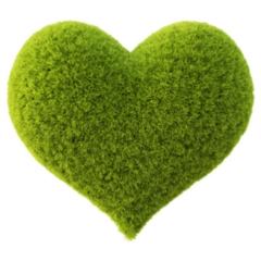Green Grass Heart Sticker