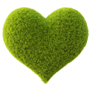 Green Grass Heart Sticker