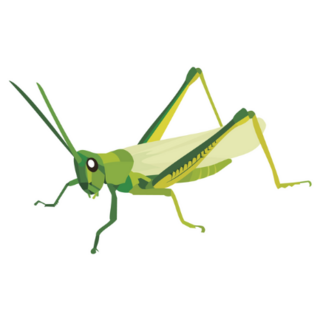 Green Grasshopper Flat Sticker 