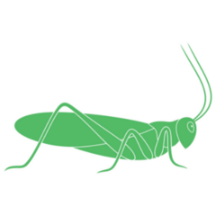 Green Grasshopper Logo Stencil Sticker 