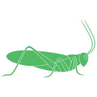 Green Grasshopper Logo Stencil Sticker 