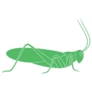 Green Grasshopper Logo Stencil Sticker 