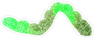 Green Gummy Worm Sticker