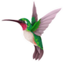 Green Hummingbird Isolated Illustration Sticker