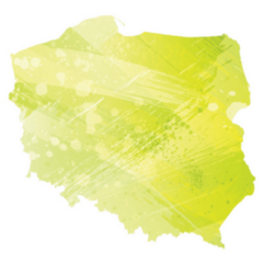 Green Illustrated Map Of Poland Sticker