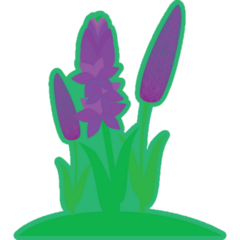 Green Lavender Sticker